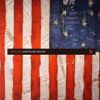 Gridlok - American Dream/Origin Of Species