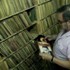 Video: Největší sbírka vinylů na světě